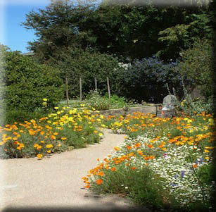 Native Cottage Garden